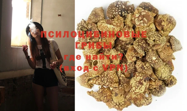дмт Алексин