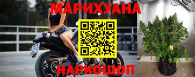 крисы Свободный