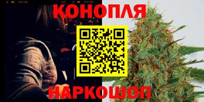 прущие грибы Севастополь