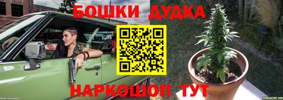 прущие крисы Северобайкальск