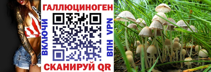 Галлюциногенные грибы GOLDEN TEACHER  ОМГ ОМГ зеркало  Нефтеюганск  сколько стоит 
