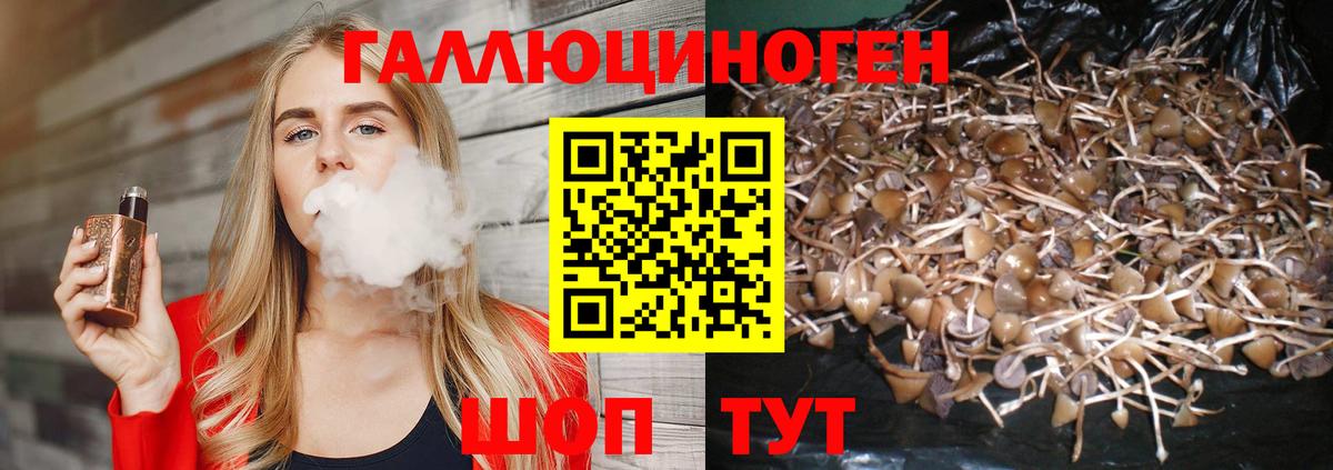 Нефтеюганск  Псилоцибиновые грибы MAGIC MUSHROOMS  Вход с VPN  наркота  Галлюциногенные грибы мухоморы 